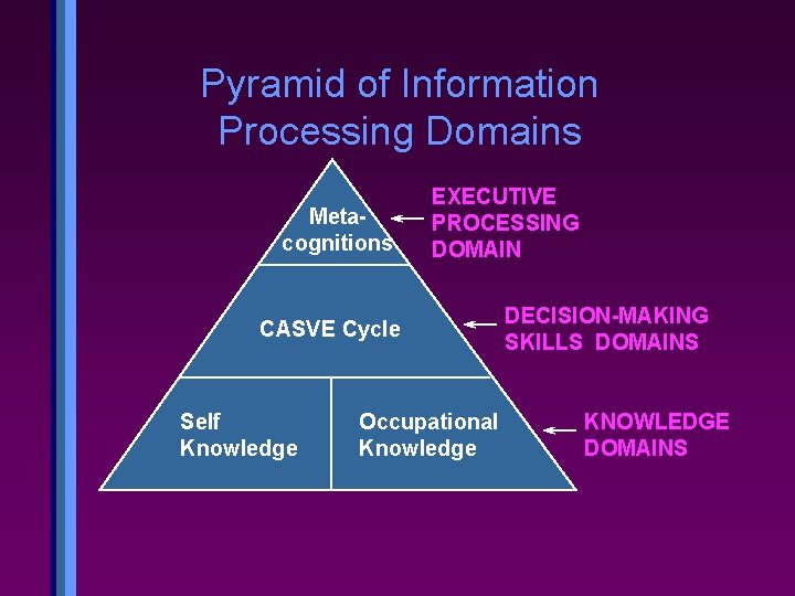 Pyramid of Information Processing Domains Metacognitions EXECUTIVE PROCESSING DOMAIN CASVE Cycle Self Knowledge Occupational