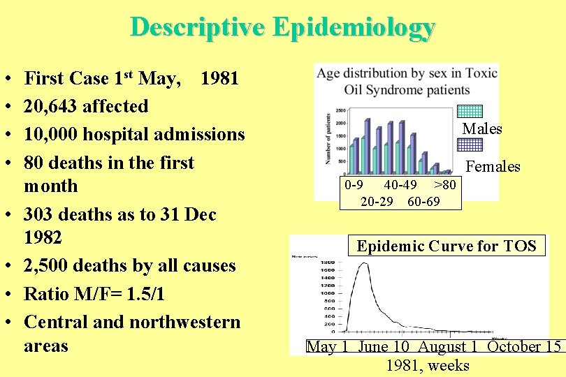 Descriptive Epidemiology • • First Case 1 st May, 1981 20, 643 affected 10,