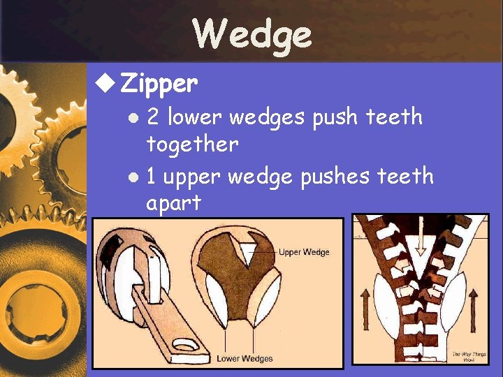 Wedge u Zipper 2 lower wedges push teeth together l 1 upper wedge pushes