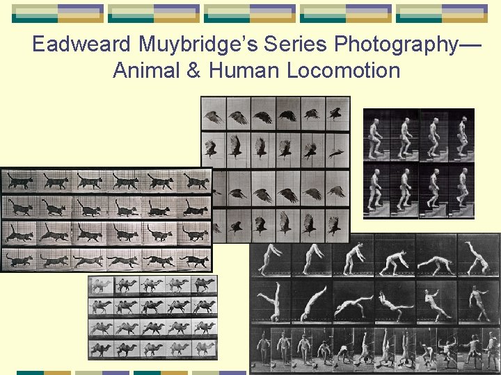 Eadweard Muybridge’s Series Photography— Animal & Human Locomotion 