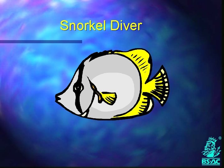 Snorkel Diver 