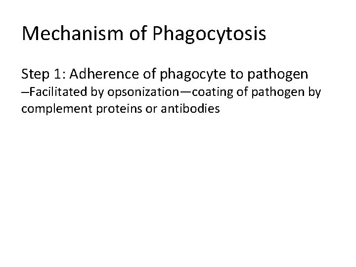 Mechanism of Phagocytosis Step 1: Adherence of phagocyte to pathogen –Facilitated by opsonization—coating of