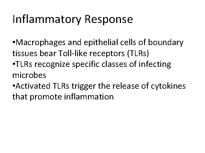 Inflammatory Response • Macrophages and epithelial cells of boundary tissues bear Toll-like receptors (TLRs)