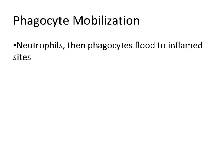 Phagocyte Mobilization • Neutrophils, then phagocytes flood to inflamed sites 