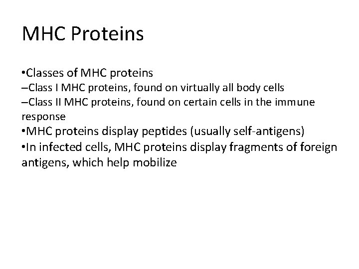MHC Proteins • Classes of MHC proteins –Class I MHC proteins, found on virtually