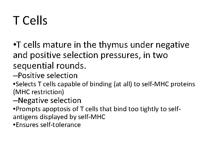 T Cells • T cells mature in the thymus under negative and positive selection