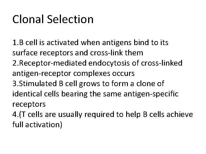 Clonal Selection 1. B cell is activated when antigens bind to its surface receptors