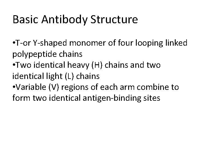 Basic Antibody Structure • T-or Y-shaped monomer of four looping linked polypeptide chains •