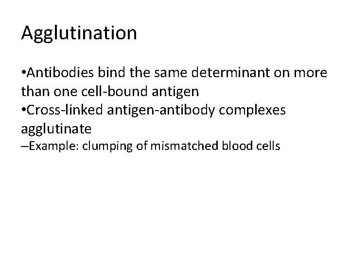 Agglutination • Antibodies bind the same determinant on more than one cell-bound antigen •