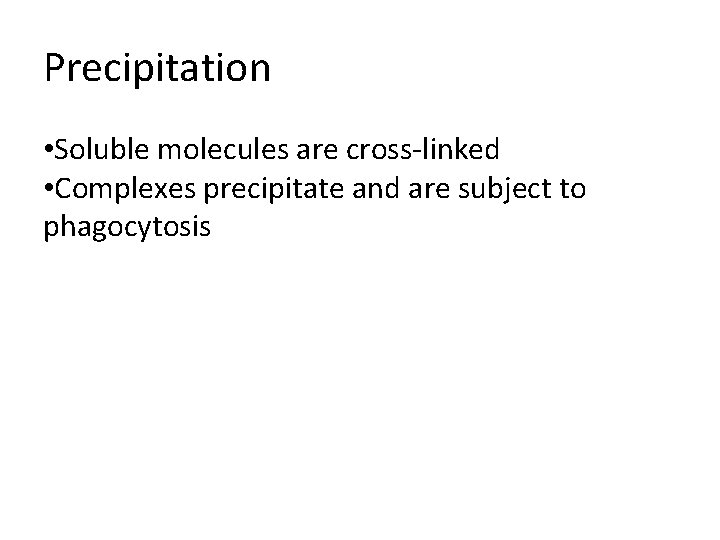 Precipitation • Soluble molecules are cross-linked • Complexes precipitate and are subject to phagocytosis