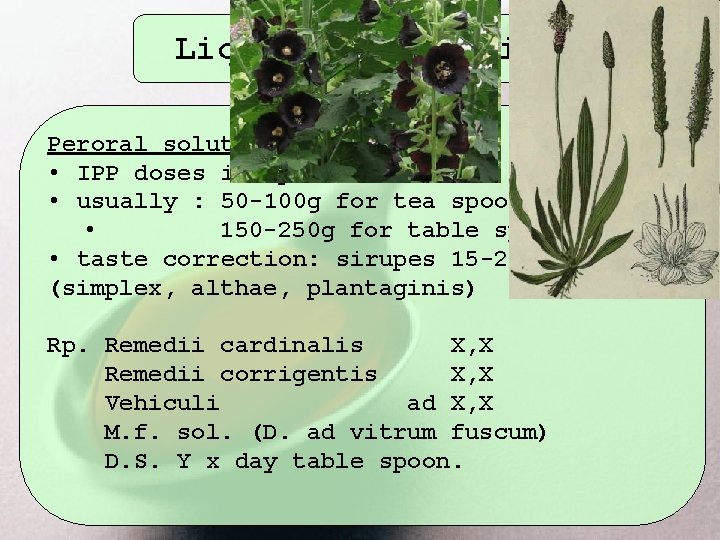 Liquida peroralia Peroral solutions • IPP doses in spoons • usually : 50 -100