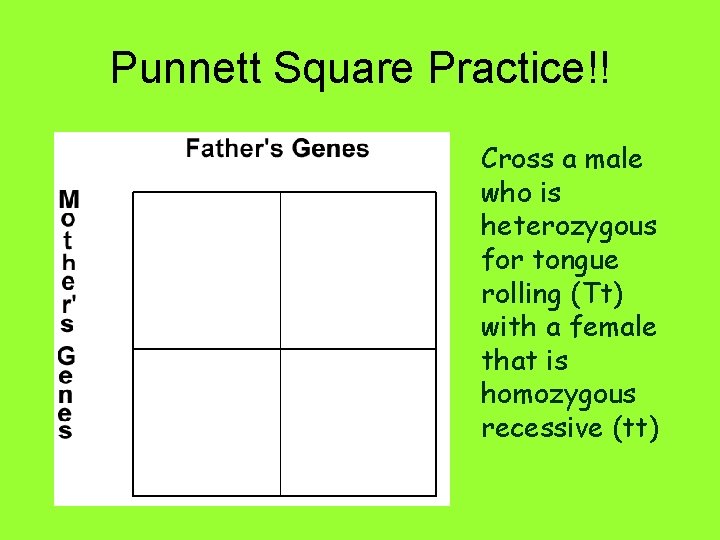 Punnett Square Practice!! Cross a male who is heterozygous for tongue rolling (Tt) with