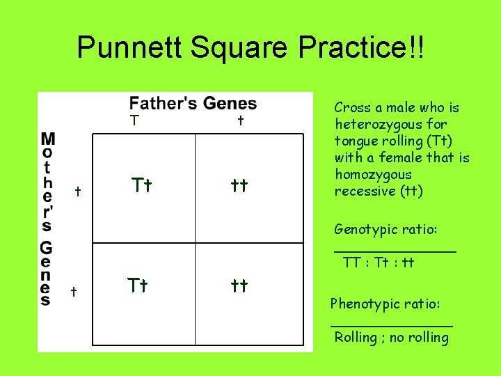 Punnett Square Practice!! T t t Tt Tt t tt tt Cross a male