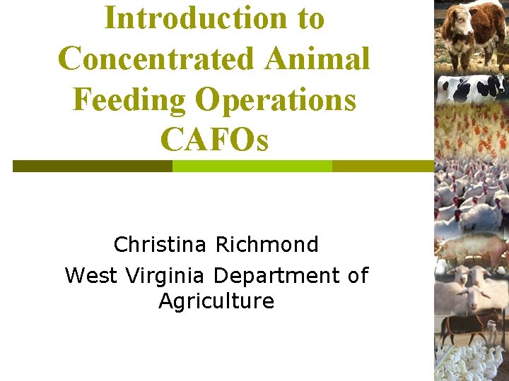 Introduction to Concentrated Animal Feeding Operations CAFOs Christina Richmond West Virginia Department of Agriculture