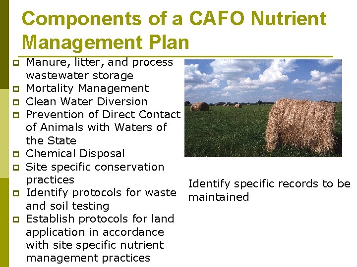 Components of a CAFO Nutrient Management Plan p p p p Manure, litter, and