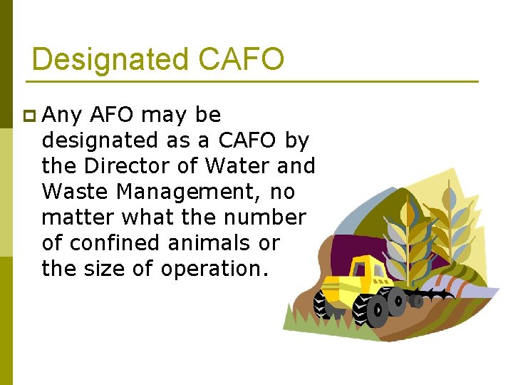 Designated CAFO p Any AFO may be designated as a CAFO by the Director