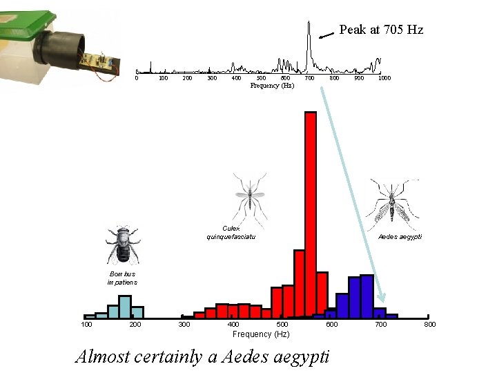 Peak at 705 Hz 0 100 200 300 400 500 600 700 800 900