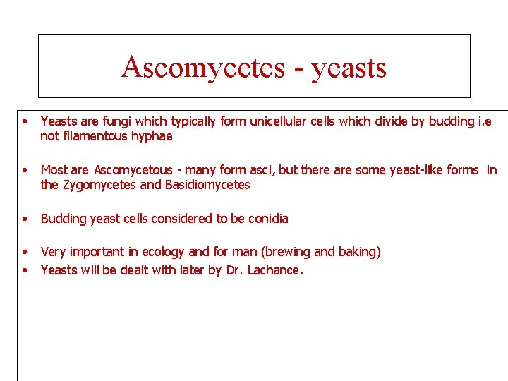 Ascomycetes - yeasts • Yeasts are fungi which typically form unicellular cells which divide