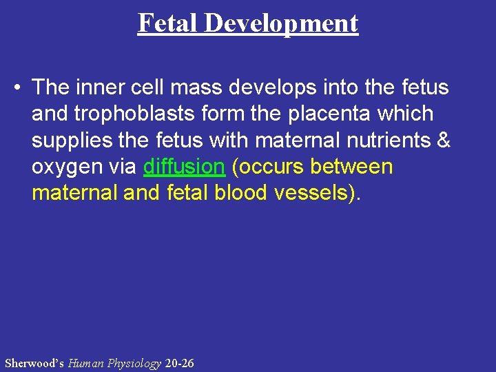 Fetal Development • The inner cell mass develops into the fetus and trophoblasts form