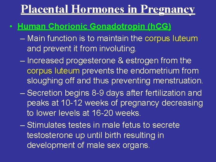 Placental Hormones in Pregnancy • Human Chorionic Gonadotropin (h. CG) – Main function is