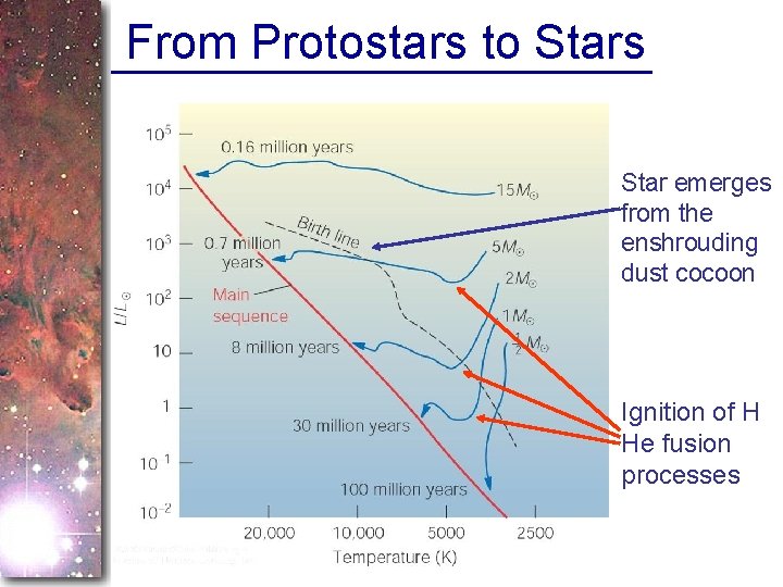From Protostars to Stars Star emerges from the enshrouding dust cocoon Ignition of H