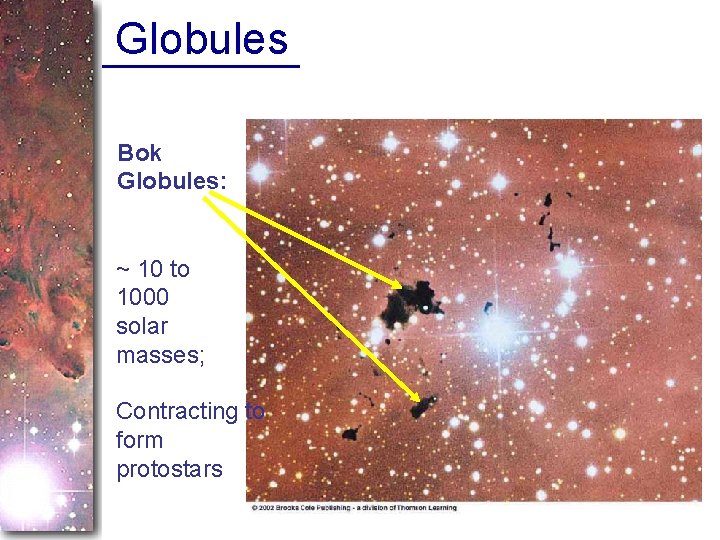 Globules Bok Globules: ~ 10 to 1000 solar masses; Contracting to form protostars 