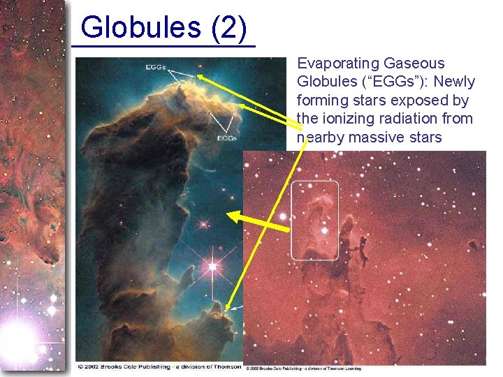 Globules (2) Evaporating Gaseous Globules (“EGGs”): Newly forming stars exposed by the ionizing radiation