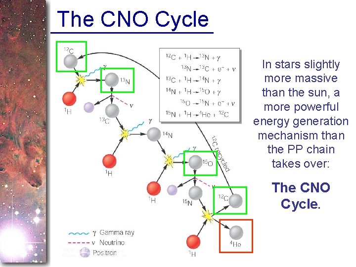 The CNO Cycle In stars slightly more massive than the sun, a more powerful