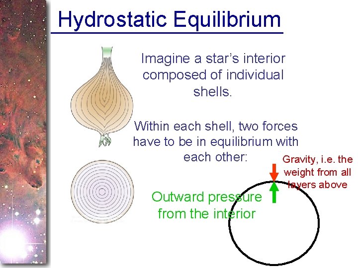 Hydrostatic Equilibrium Imagine a star’s interior composed of individual shells. Within each shell, two