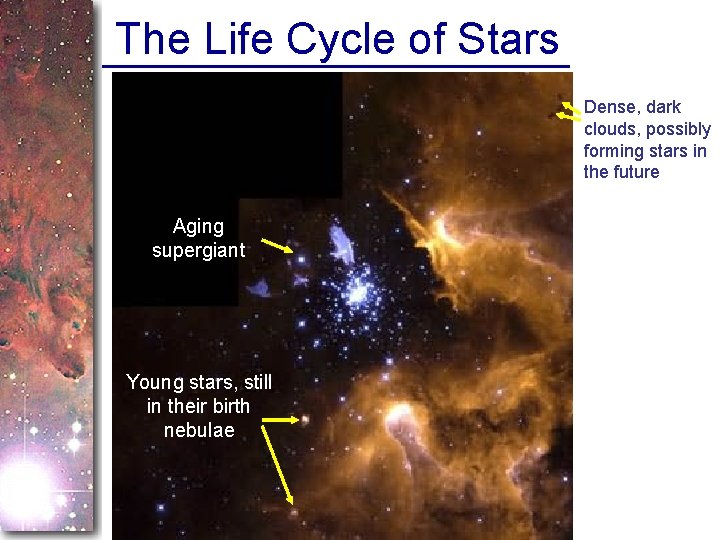 The Life Cycle of Stars Dense, dark clouds, possibly forming stars in the future