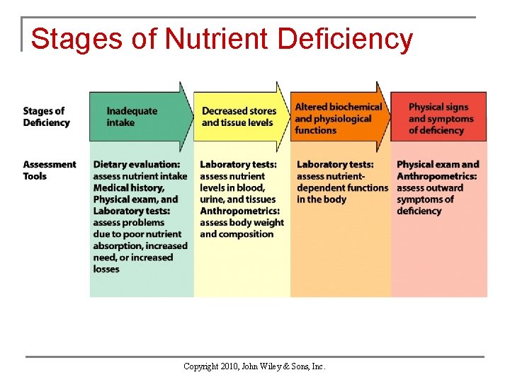 Stages of Nutrient Deficiency Copyright 2010, John Wiley & Sons, Inc. 