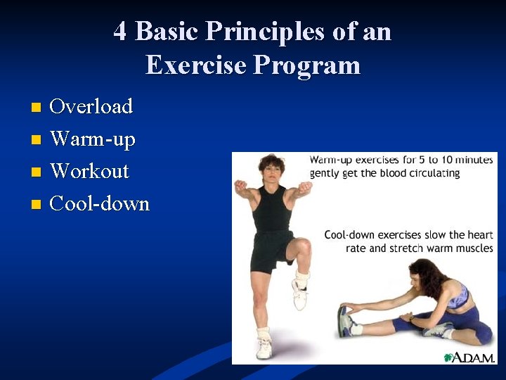 4 Basic Principles of an Exercise Program Overload n Warm-up n Workout n Cool-down