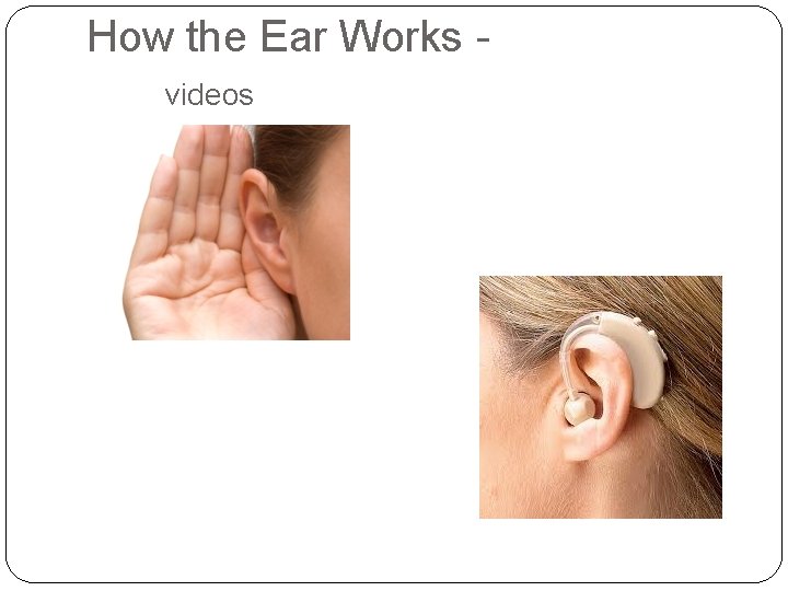 How the Ear Works videos 