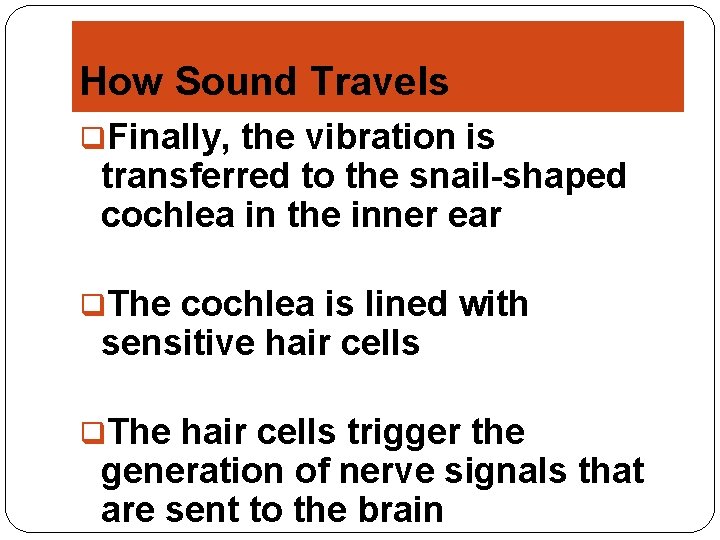 How Sound Travels q. Finally, the vibration is transferred to the snail-shaped cochlea in