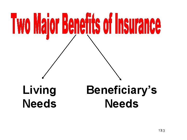 Living Needs Beneficiary’s Needs 1313 
