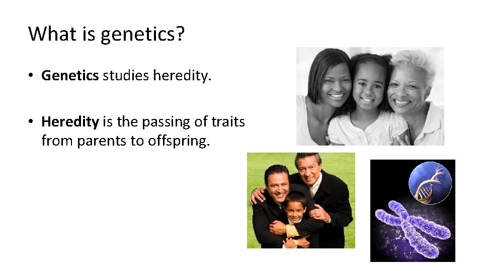 What is genetics? • Genetics studies heredity. • Heredity is the passing of traits