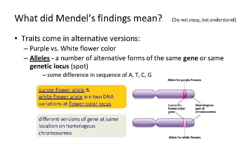 What did Mendel’s findings mean? (Do not copy, but understand) • Traits come in