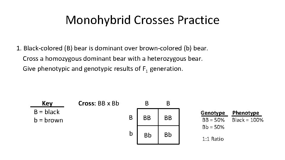 Monohybrid Crosses Practice 1. Black-colored (B) bear is dominant over brown-colored (b) bear. Cross