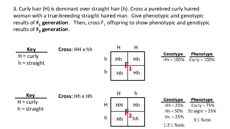 3. Curly hair (H) is dominant over straight hair (h). Cross a purebred curly