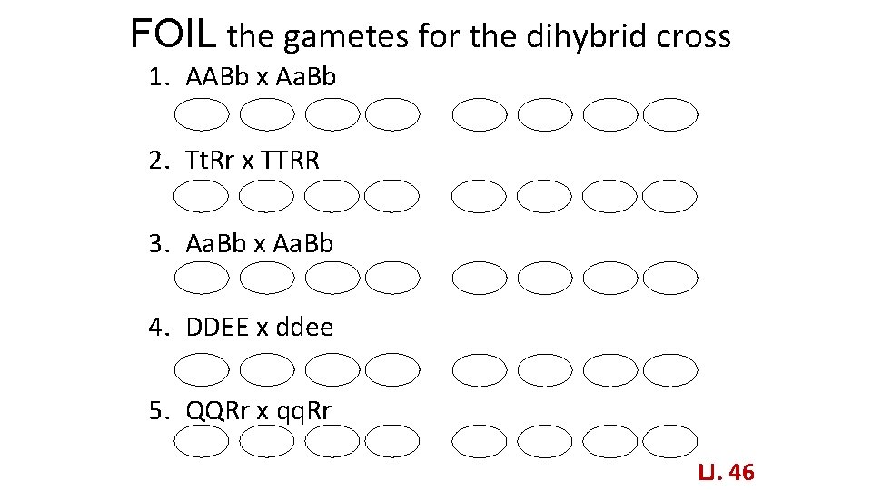 FOIL the gametes for the dihybrid cross 1. AABb x Aa. Bb 2. Tt.