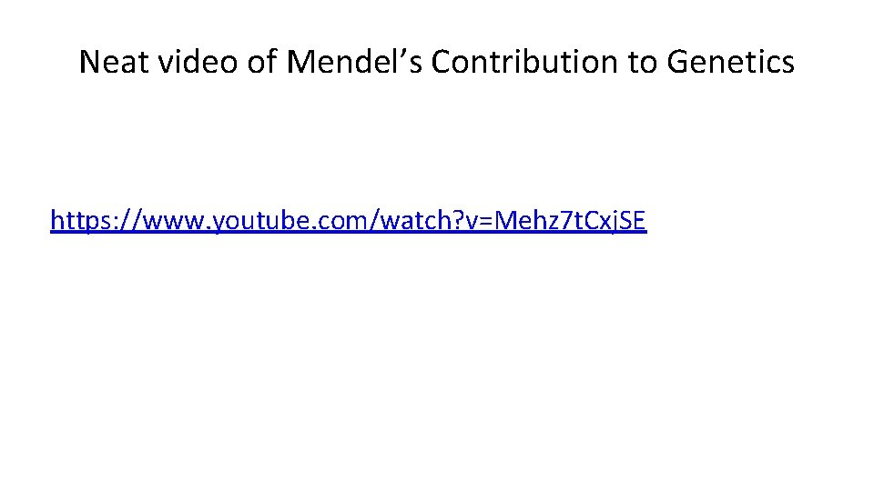 Neat video of Mendel’s Contribution to Genetics https: //www. youtube. com/watch? v=Mehz 7 t.