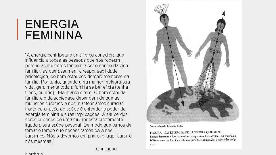 ENERGIA FEMININA “A energia centrípeta é uma força conectora que influencia a todas as