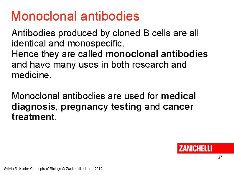 Monoclonal antibodies Antibodies produced by cloned B cells are all identical and monospecific. Hence