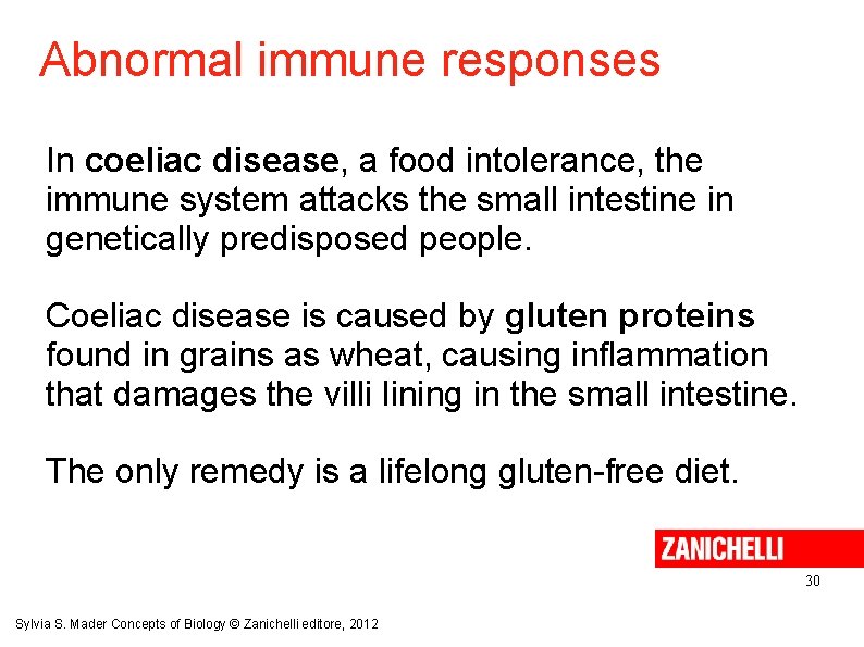 Abnormal immune responses In coeliac disease, a food intolerance, the immune system attacks the