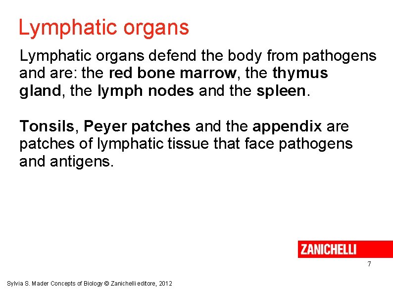 Lymphatic organs defend the body from pathogens and are: the red bone marrow, the