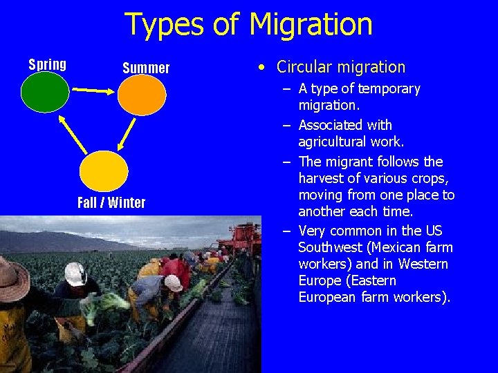 Types of Migration Spring Summer Fall / Winter • Circular migration – A type