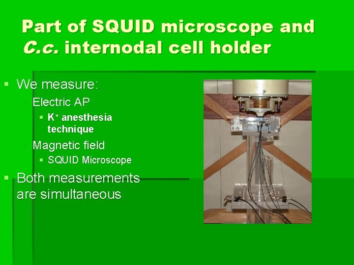 Part of SQUID microscope and C. c. internodal cell holder § We measure: §