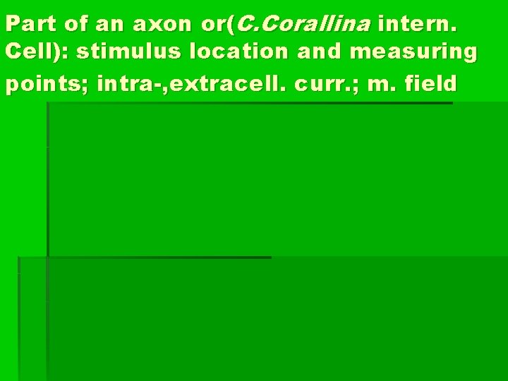 Part of an axon or(C. Corallina intern. Cell): stimulus location and measuring points; intra-,