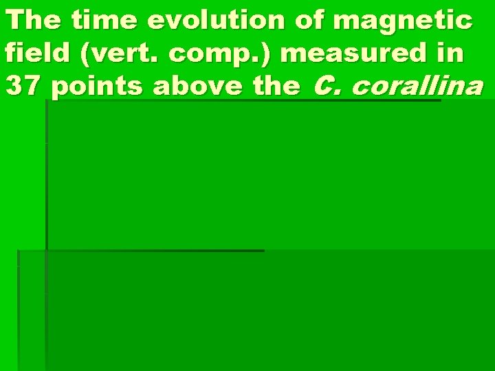 The time evolution of magnetic field (vert. comp. ) measured in 37 points above