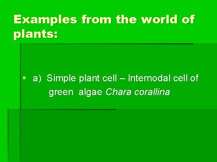 Examples from the world of plants: § a) Simple plant cell – Internodal cell